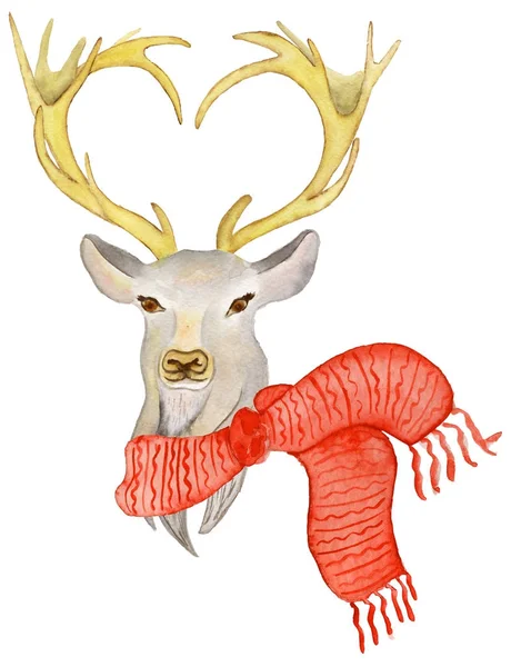 Weihnachten Hirsch mit Winterdekoration roter Schal — Stockfoto