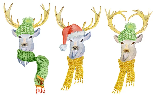 Cerf de Noël avec décorations d'hiver chapeau et écharpe — Photo