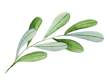 Suluboya el çekilmiş yeşil şube