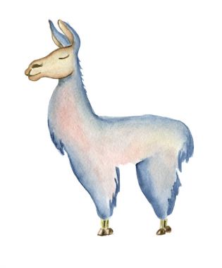 Şirin Lama çizgi film karakteri suluboya illüstrasyon, alpaka hayvan, çizili stil ver. İzole beyaz arka plan