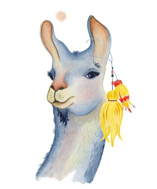 Şirin Lama çizgi film karakteri suluboya illüstrasyon, alpaka hayvan, çizili stil ver. İzole beyaz arka plan