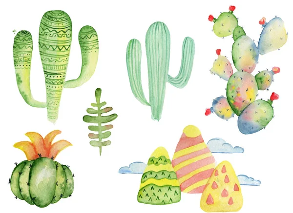 Akvarelu tropických kaktusů ručně kreslené ilustrace sada izolovaných na bílém pozadí — Stock fotografie