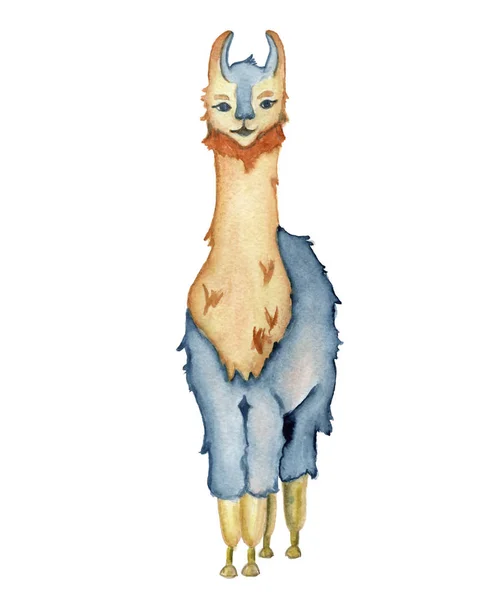 Lindo personaje de dibujos animados Llama acuarela ilustración, animal Alpaca, estilo dibujado a mano. Fondo blanco aislado — Foto de Stock