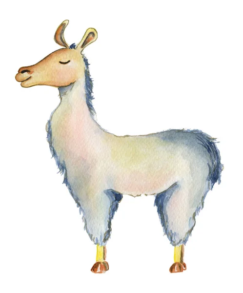 Roztomilý Lama kreslená postava akvarel ilustrace, Alpaka zvíře, ručně tažené stylu. Izolované bílé pozadí — Stock fotografie