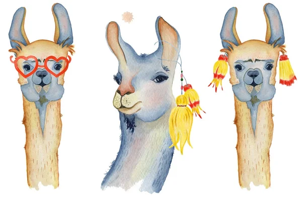 Lindos personajes de dibujos animados Llama establecer la ilustración de acuarela, animales Alpaca, estilo dibujado a mano. Fondo blanco aislado — Foto de Stock