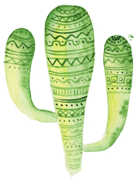 Aquarell tropischer Kaktus handgezeichnete Illustration isoliert auf weißem Hintergrund — Stockfoto