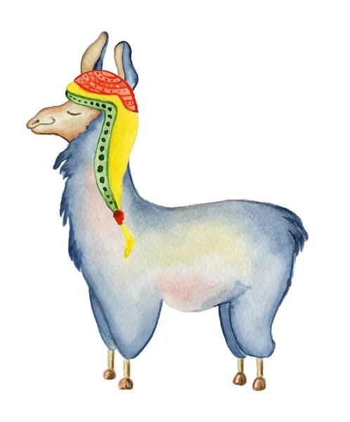 Desenho animado bonito Llama personagem aquarela ilustração, animal Alpaca, estilo desenhado à mão. Fundo branco isolado — Fotografia de Stock