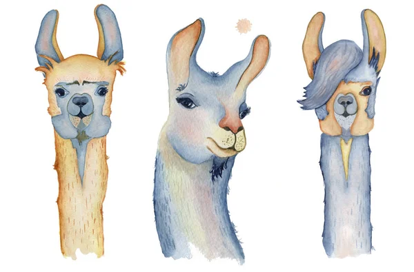 Lindos personajes de dibujos animados Llama establecer la ilustración de acuarela, animales Alpaca, estilo dibujado a mano. Fondo blanco aislado — Foto de Stock