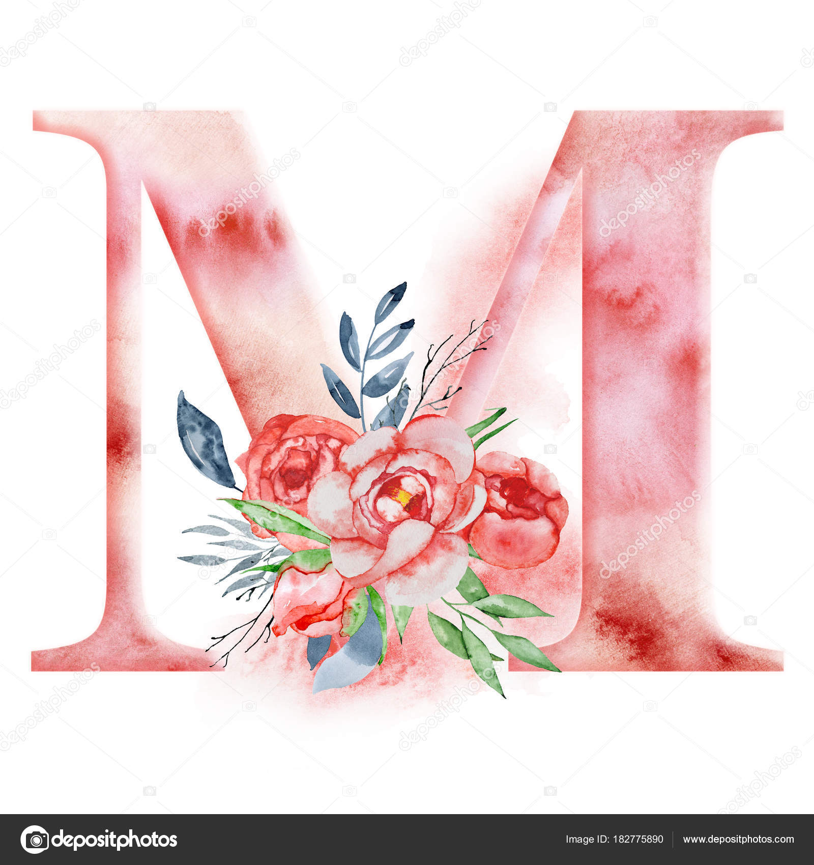 Floral watercolor alphabet. Monogram initial letter M design with hand  drawn peony flower Stock Illustration by ©nereia #182775890