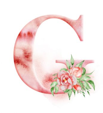 Çiçek suluboya alfabe. Şakayık çiçeği Monogram ilk harf G tasarım el ile çizilmiş