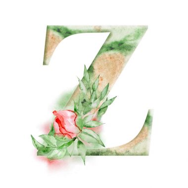 Çiçek suluboya alfabe. Şakayık çiçeği Monogram ilk harf Z tasarım el ile çizilmiş