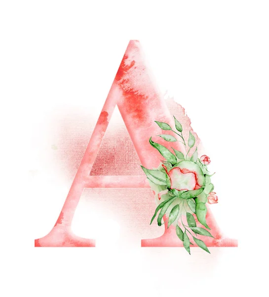 Floral ακουαρέλα αλφάβητο. Μονόγραμμα αρχικό γράμμα ένα σχέδιο με το χέρι που παιωνία λουλούδι — Φωτογραφία Αρχείου