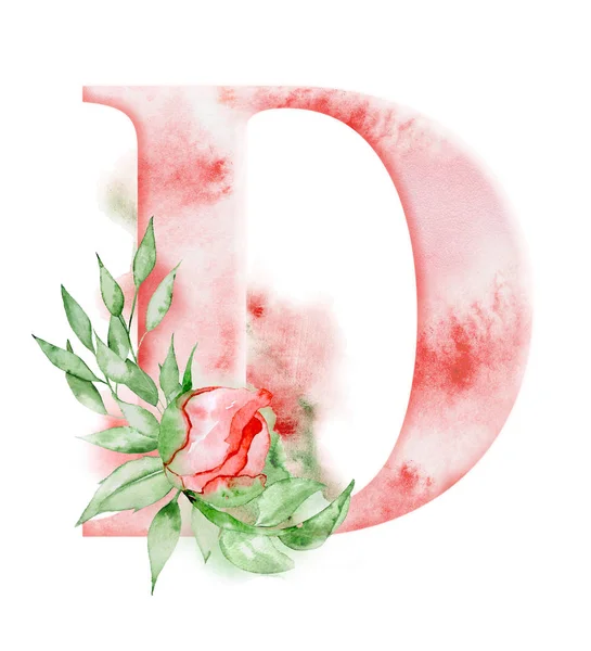 Alphabet aquarelle florale. Monogramme lettre initiale D design avec fleur pivoine dessinée à la main — Photo