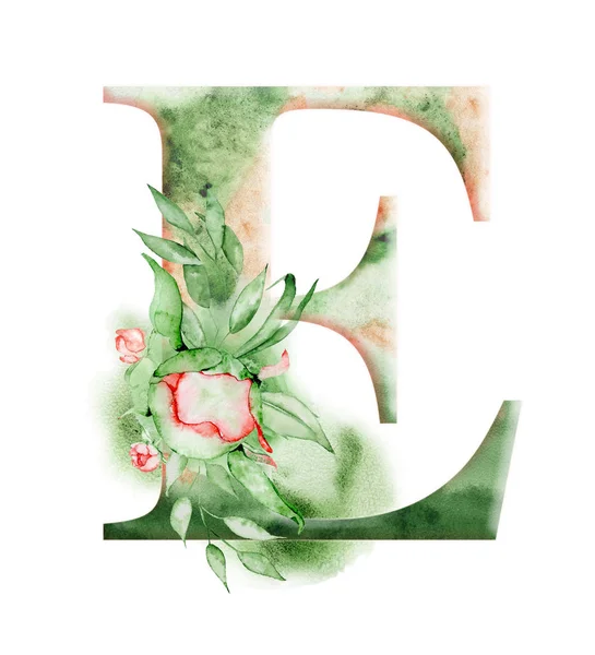 Alfabeto de acuarela floral. Monograma inicial letra E diseño con flor de peonía dibujada a mano — Foto de Stock