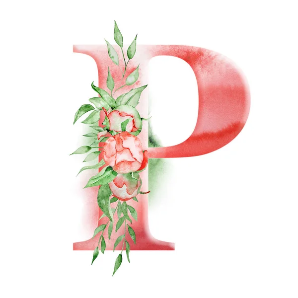 Alfabeto aquarela floral. Monograma letra inicial P design com flor de peônia desenhada à mão — Fotografia de Stock