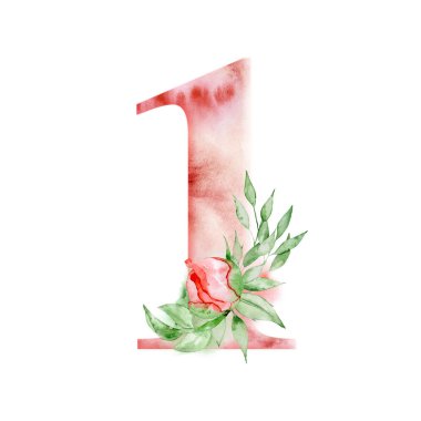 Çiçek suluboya alfabe. Suluboya sayı 1 ile peonies çiçekler ve leves. Romantik monogram