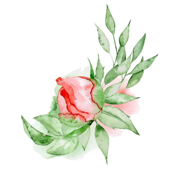 Peonies bouquet Hand painted watercolor combination of Flowers and Leaves — Stock Photo, Image