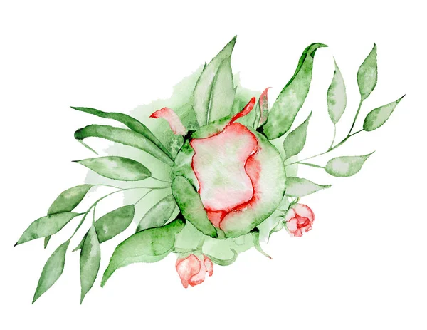 Bouquet pivoines Aquarelle peinte à la main combinaison de fleurs et feuilles — Photo