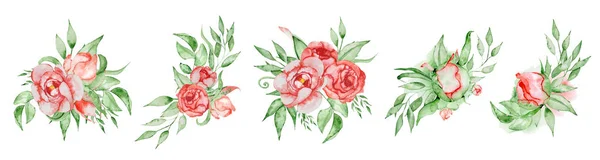 Peonies buketler çiçek ve yaprak suluboya kombinasyonu boyalı el ayarla — Stok fotoğraf