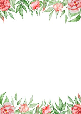 Romantik çerçeve çiçek kartı şablonu ile. Suluboya peonies beyaz zemin üzerine yeşil yaprakları ile. Elle çizilmiş illüstrasyon.