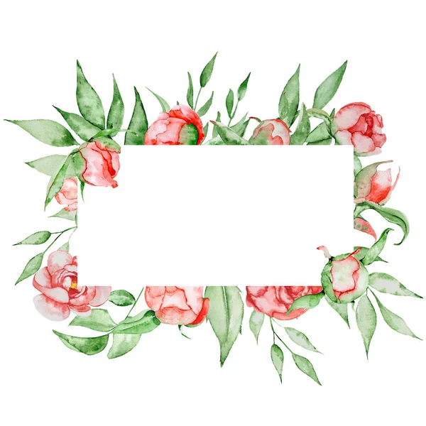 Cadre romantique avec fleurs Modèle de carte. Pivoines aquarelle avec feuilles vertes sur le fond blanc. Illustration dessinée main . — Photo