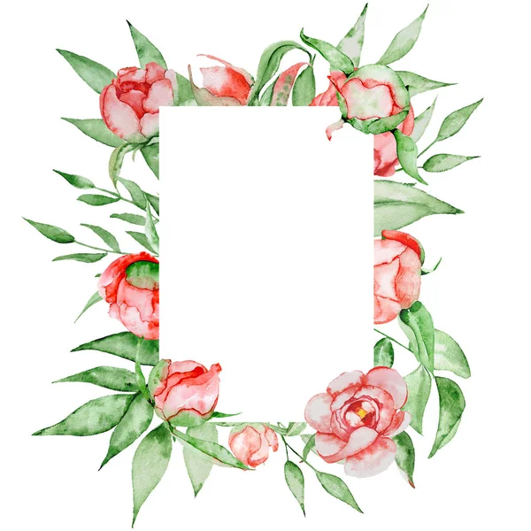 Romantische frame met bloemen kaartsjabloon. Aquarel pioenrozen met groene bladeren op de witte achtergrond. Hand getekende illustratie. — Stockfoto