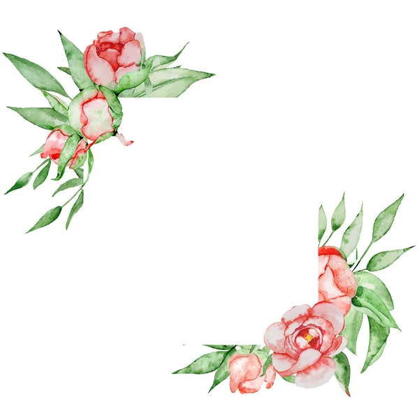 Romantische frame met bloemen kaartsjabloon. Aquarel pioenrozen met groene bladeren op de witte achtergrond. Hand getekende illustratie. — Stockfoto