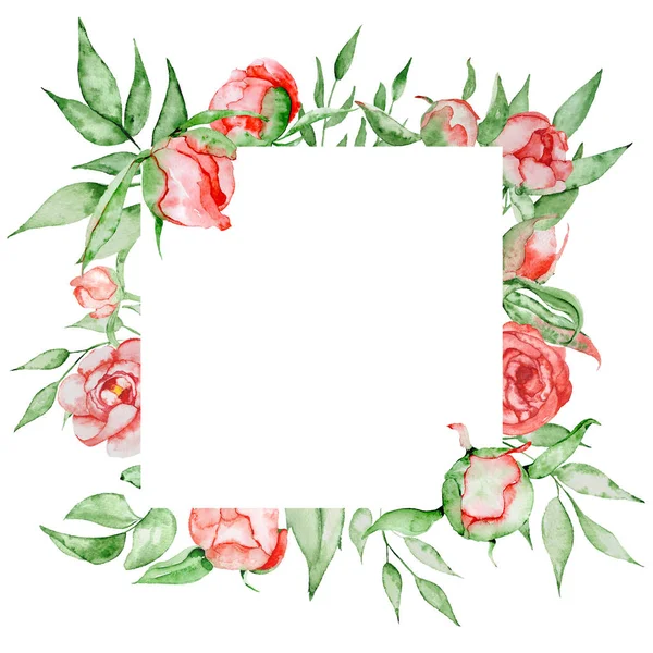 Romantische frame met bloemen kaartsjabloon. Aquarel pioenrozen met groene bladeren op de witte achtergrond. Hand getekende illustratie. — Stockfoto