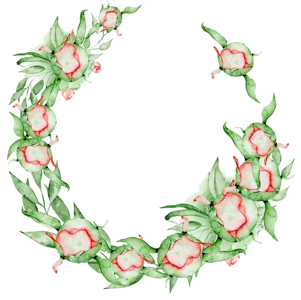 Peonies wreath Hand painted watercolor combination of Flowers and Leaves — Stock Photo, Image