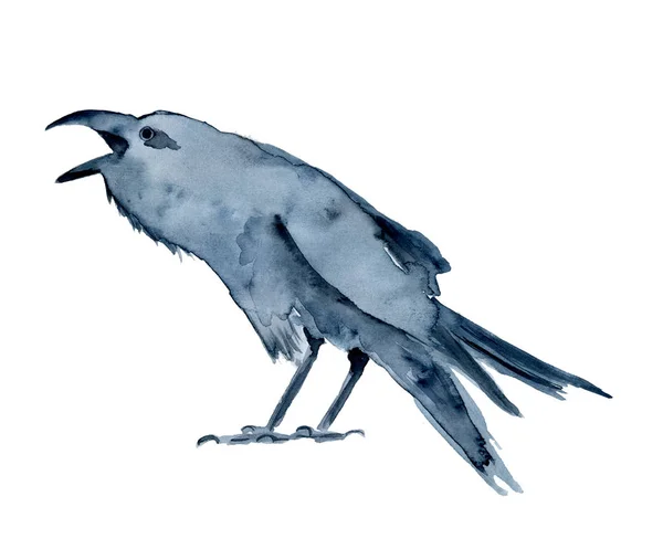 Vattenfärg svart kråka, Korpen, fågel, Halloween hand dras illustration — Stockfoto