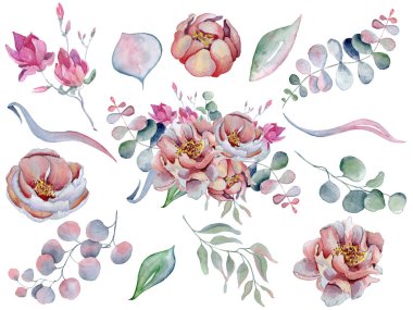 suluboya buketleri Anemone, peonies çiçekler ve bitkiler ile ayarla