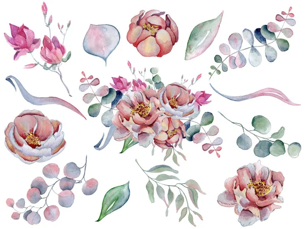 Akvarell csokrok, anemone, pünkösdi rózsa virágok és gyógynövények — Stock Fotó