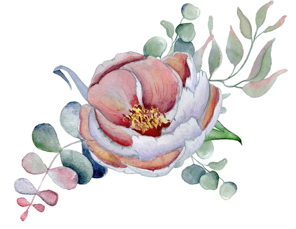 Akvarell csokor, anemone, pünkösdi rózsa virágok és gyógynövények — Stock Fotó