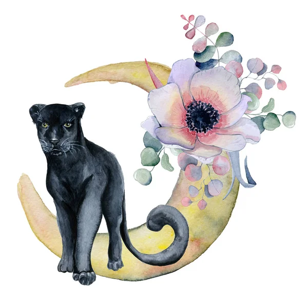 Akvarell kompozíció fekete kosárlabda, szivar párduc és virágok pünkösdi rózsa, anemone, Hold alakú — Stock Fotó