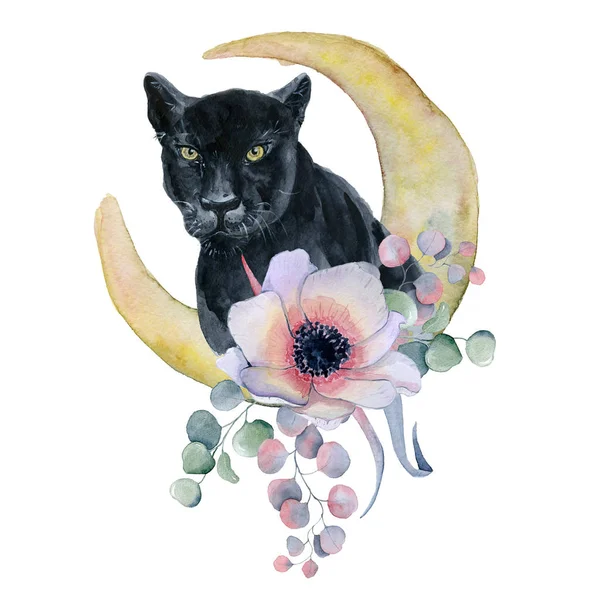 Composición acuarela con pantera negra y flores peonías, anémona en forma de luna — Foto de Stock