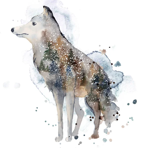 Aquarel wolf illustratie wild bos dier met dubbele blootstelling effect — Stockfoto