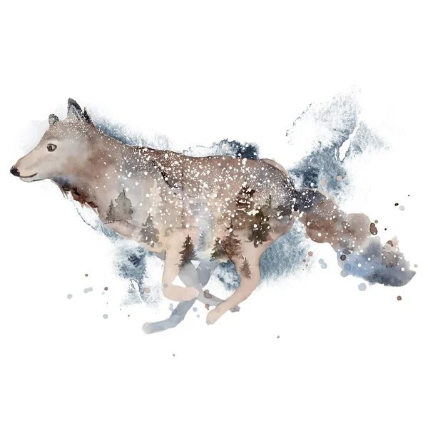 Aquarel wolf illustratie wild bos dier met dubbele blootstelling effect — Stockfoto