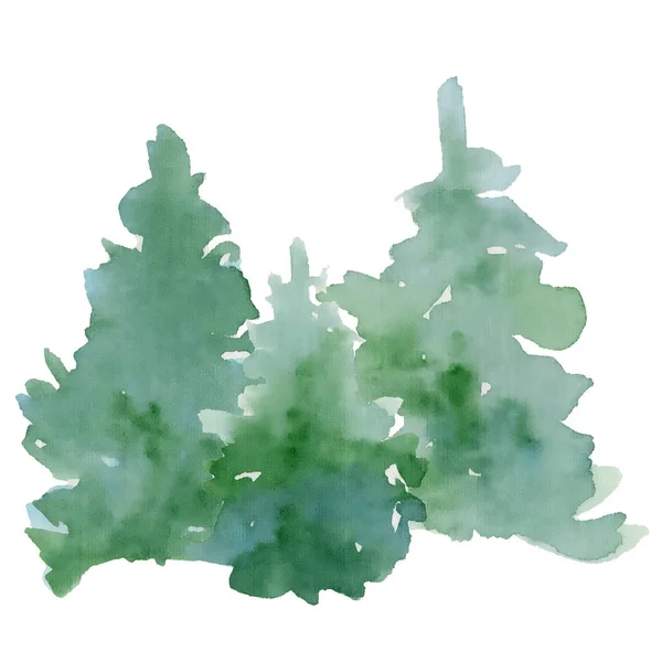 Akvarel borovice ilustrace izolované na bílém pozadí — Stock fotografie