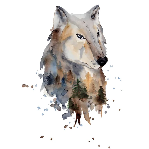 Aquarel wolf illustratie wild bos dier met dubbele blootstelling effect — Stockfoto