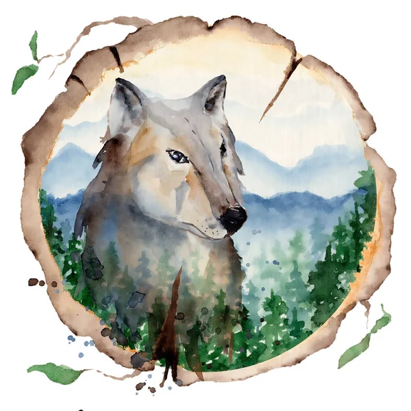 Watercolor wolf  Animal composition Hand drawn illustration — Stock Photo, Image