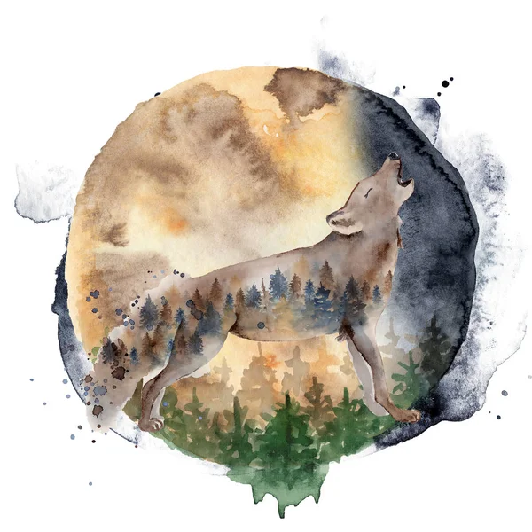 Watercolor wolf  Animal composition Hand drawn illustration