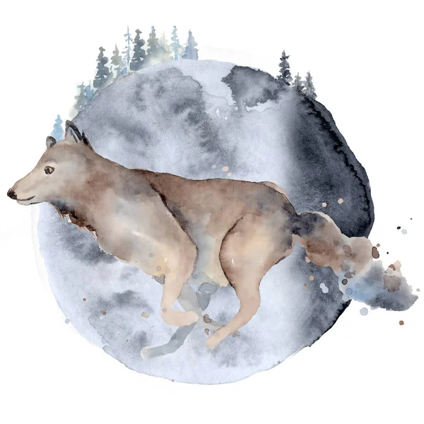 Aquarelwolf Dierensamenstelling Handgetekende illustratie — Stockfoto