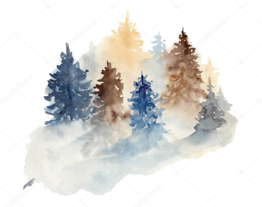 Watercolor pine trees illustration isolated on white background