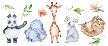 Suluboya hayvan karakter koleksiyonu. Panda, miskin hayvan, zürafa, koala, fil