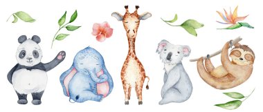 Watercolor animals character collection. Panda, sloth, giraffe, koala, elephant clipart
