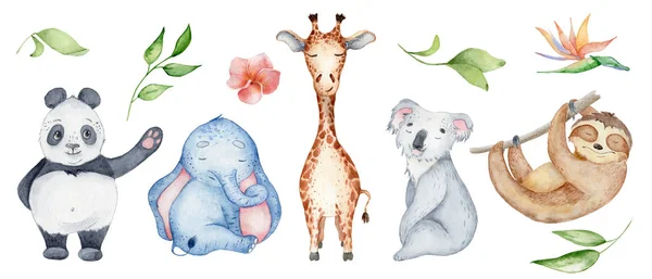 Akvarell állatok karakter gyűjtemény. Panda, lajhár, zsiráf, koala, elefánt — Stock Fotó