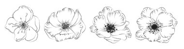 Vector set of hand drawn plants. Botanical sketched 