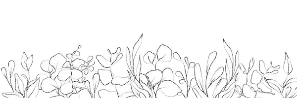 Cornice floreale abbozzata botanica. Linea arte piante disegnate a mano . — Vettoriale Stock