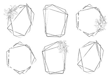 Botanik kristal çerçeveler çizdi. Çizgi sanatı el çizimi geometrik şekiller