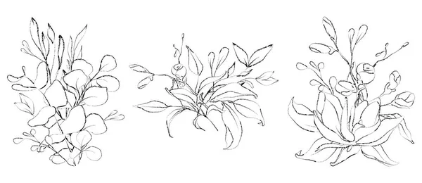 植物素描花花束。线条手绘植物 — 图库矢量图片
